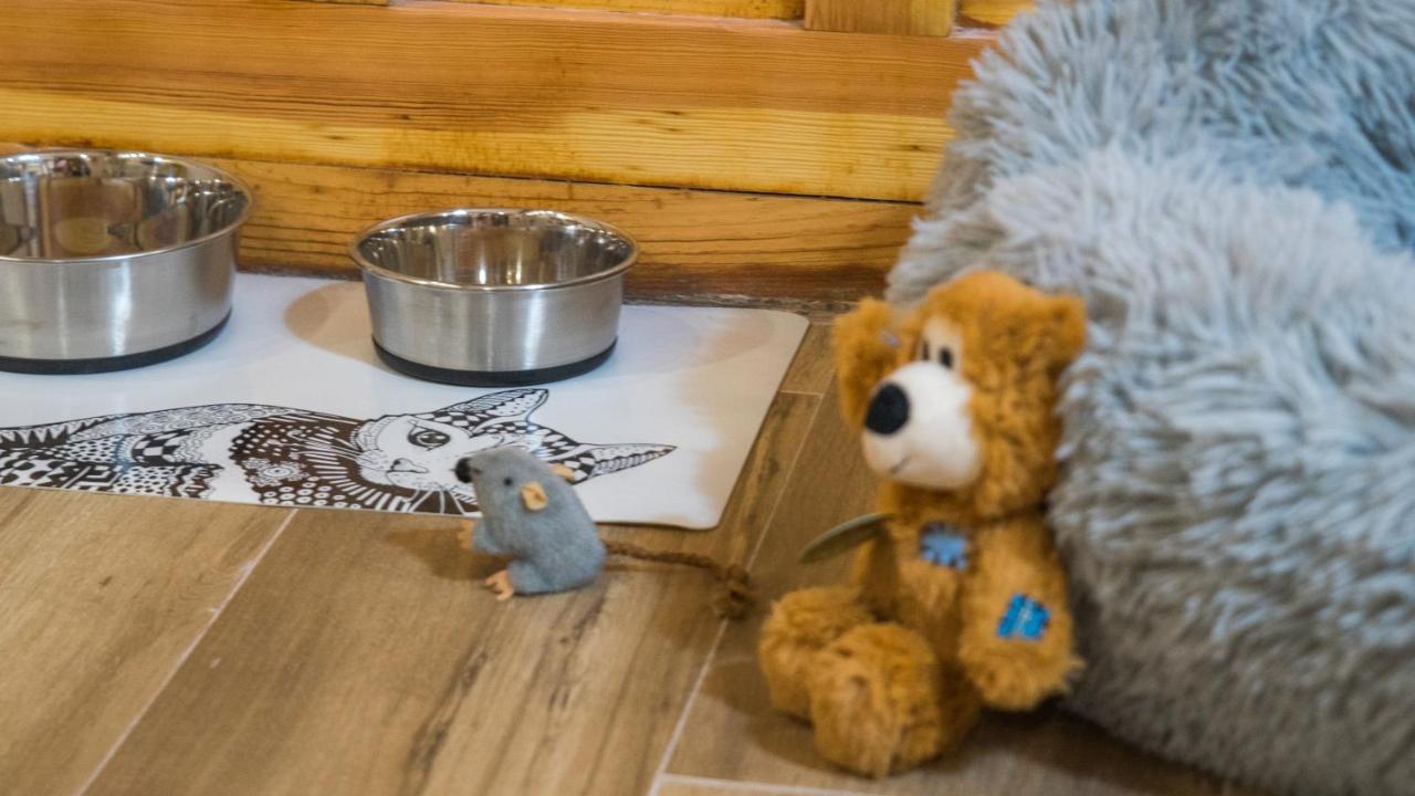 Apartamento Ruh Sara By Toledo Ap Zewnętrze zdjęcie